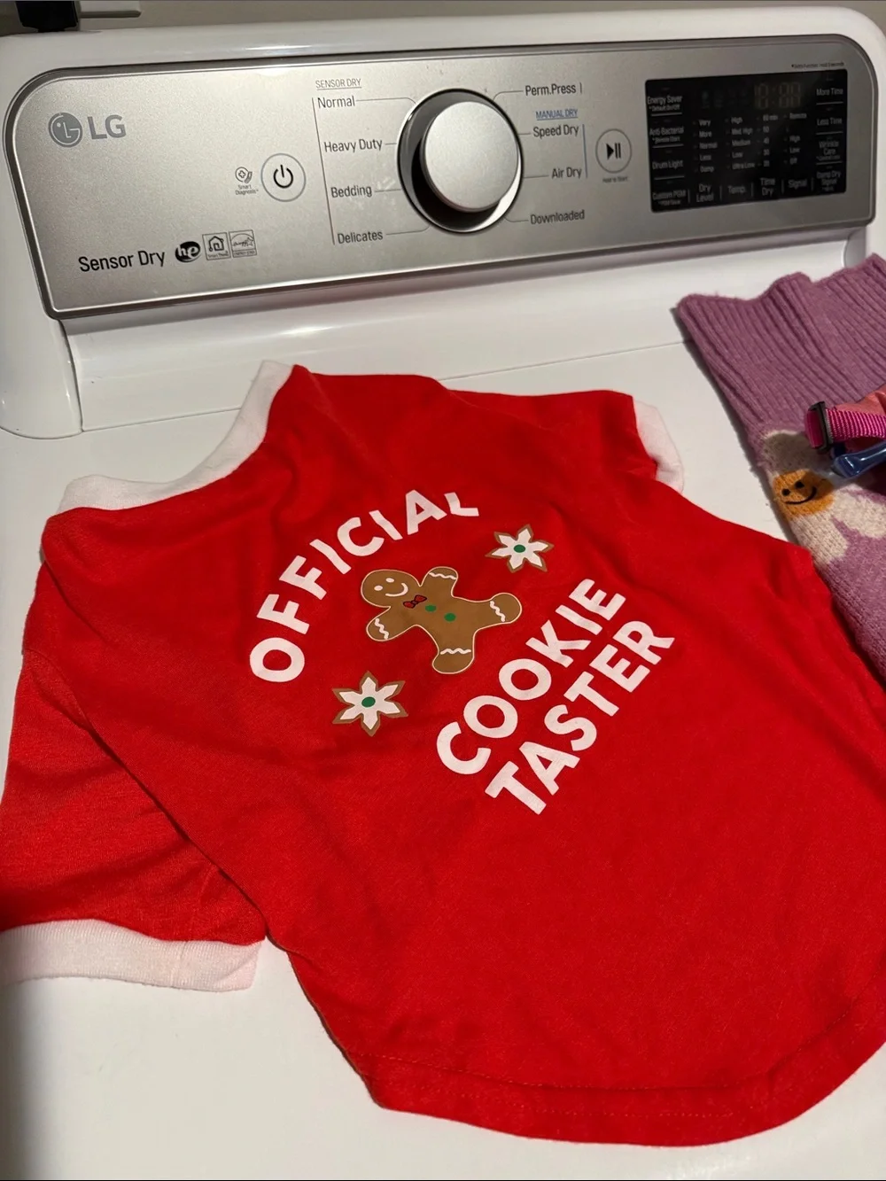 Lot of Puppy/Small Dog Accessories and Clothes